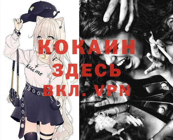 МДПВ Алексин