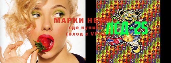 МДПВ Алексин