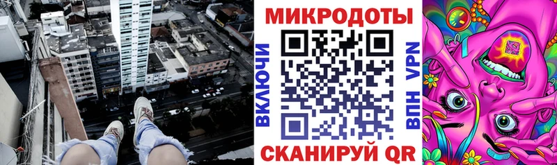 Псилоцибиновые грибы Psilocybe mega как зайти Бирюсинск